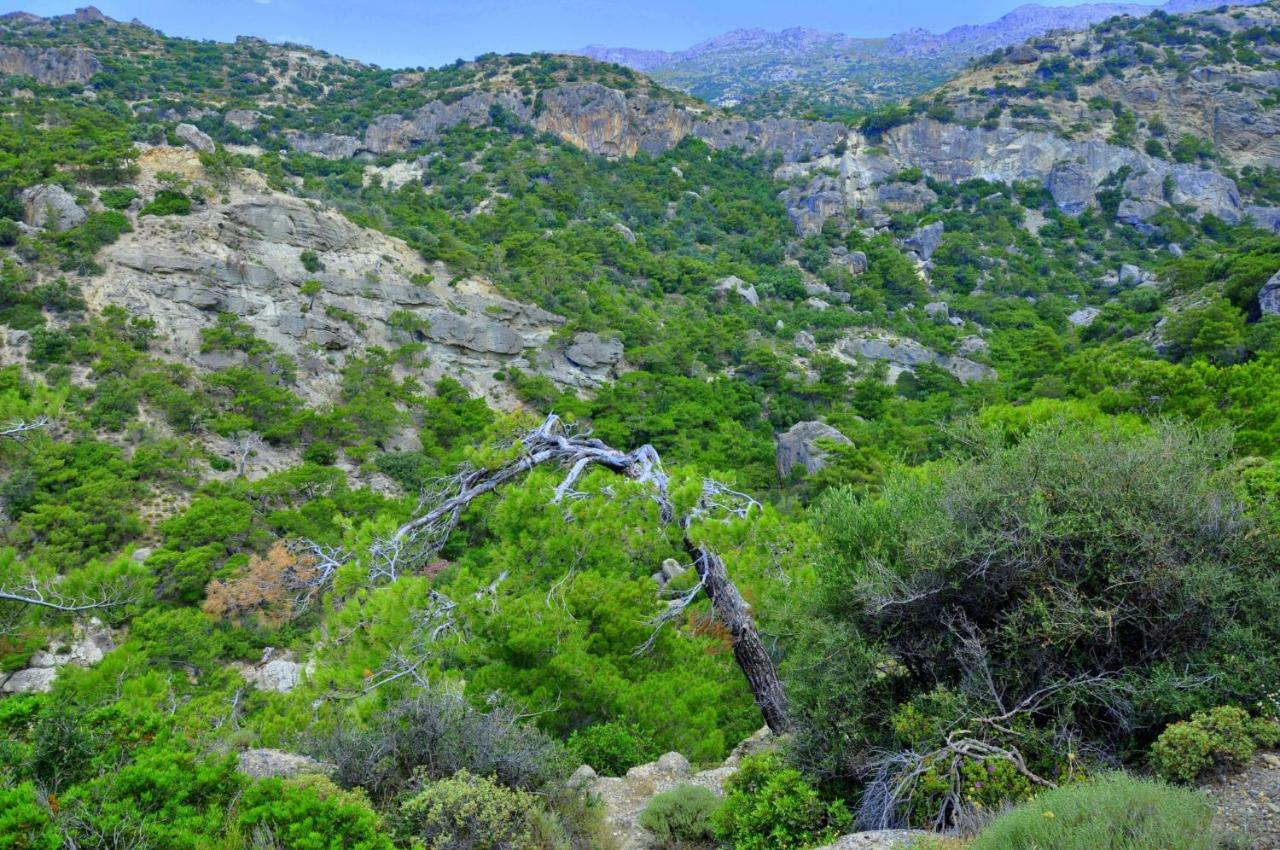 Dream Residence Agios Ioannis  ภายนอก รูปภาพ